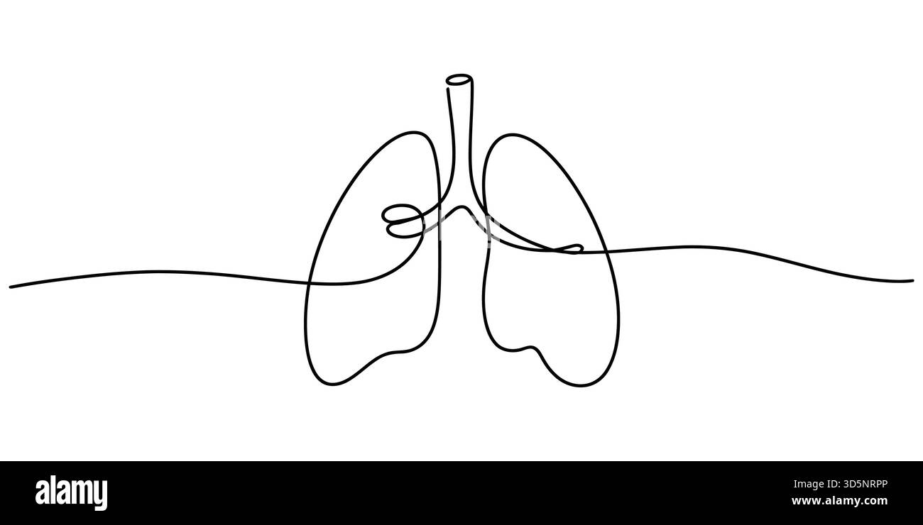 Disegno continuo di polmoni umani, organo del sistema respiratorio su bianco Illustrazione Vettoriale