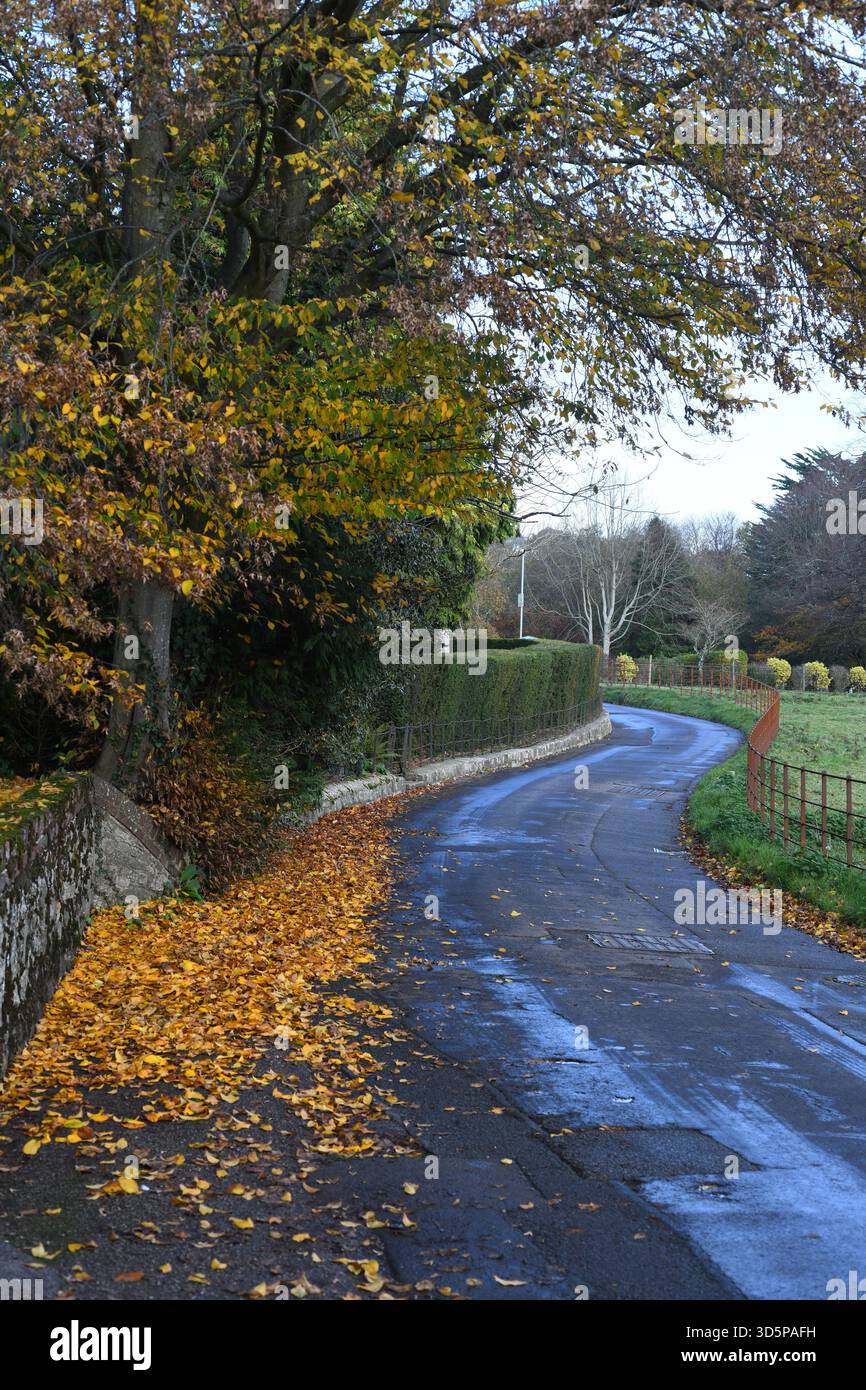 Church Lane in autunno Foto Stock