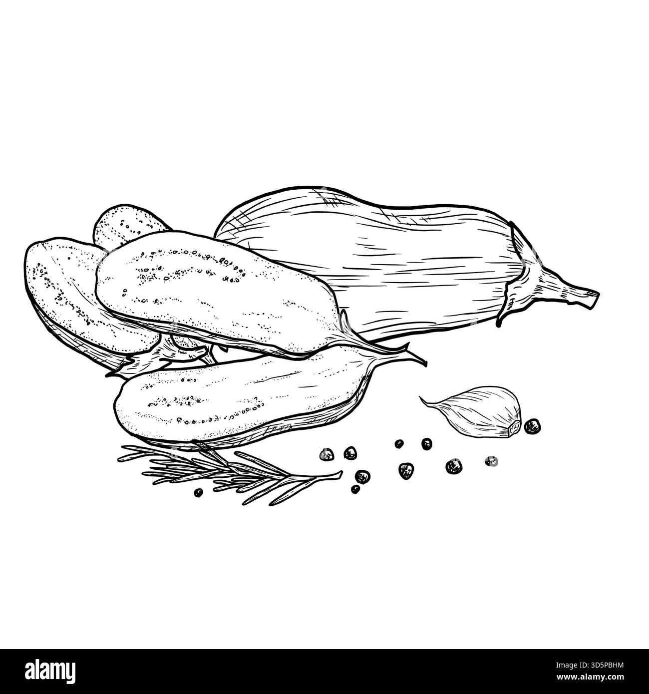 Melanzane, intere e affettate, schizzi. Illustrazione vettoriale. Verdure, erbe e spezie culinarie, rosmarino e aglio sono isolati su sfondo bianco Illustrazione Vettoriale