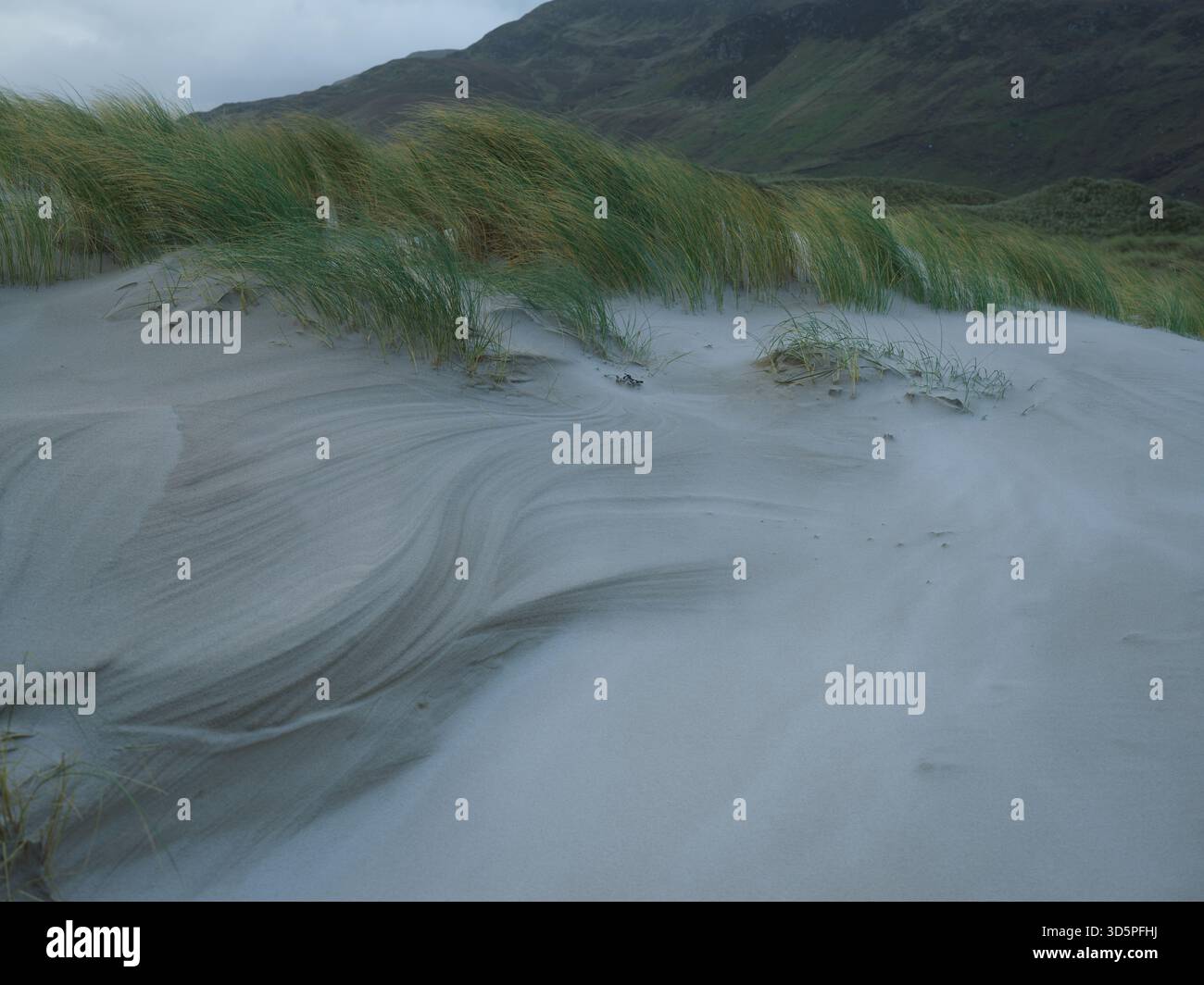 Dune Grass spazzata dal vento contro Rolling Hills a Maghera Beach Donegal Irlanda Foto Stock
