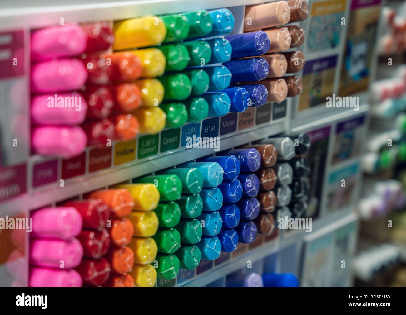 Un vivace assortimento di pennarelli in vari colori disposti in modo ordinato sugli scaffali, che presentano le loro confezioni ed etichette in un negozio di articoli d'arte. Foto Stock