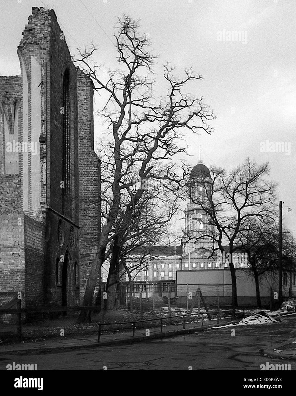 Rovine della chiesa del monastero francescano e della vecchia casa cittadina di Berlino-Mitte. [traduzione automatizzata] Foto Stock