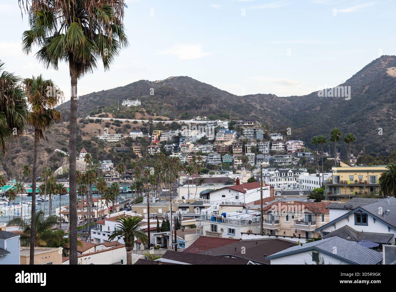 Case in collina e edifici di fronte al porto di Avalon sull'isola di Catalina nella contea di Los Angeles, California. Foto Stock