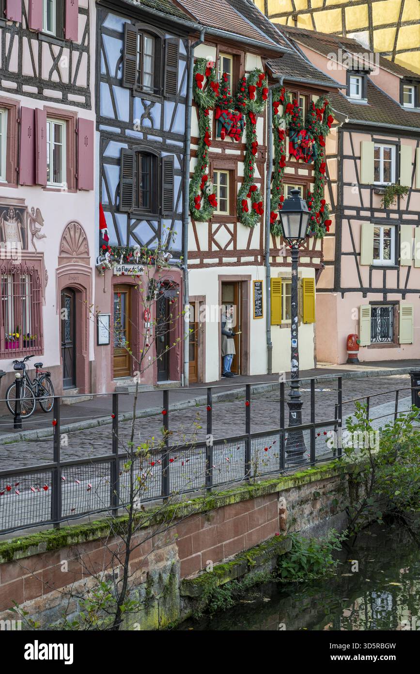 Case a graticcio, Quai de la Poissonnerie, Colmar, Haut-Rhin, Grand Est, Francia Foto Stock