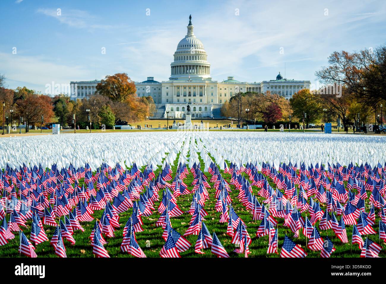 LUNGEVITY Foundation 60000 Flags Installation National Mall Washington DC // WASHINGTON DC — l'installazione di bandiere 60.000 della LUNGevity Foundation sul National Mall aumenta la consapevolezza per il mese di sensibilizzazione sul cancro al polmone. Ogni bandiera bianca rappresenta due dei 120.000 americani che muoiono di cancro ai polmoni ogni anno, mentre le bandiere americane onorano i 5.000 veterani persi ogni anno. Il cancro ai polmoni è la principale causa nazionale di morte per cancro, superando i tumori del colon-retto e del pancreas combinati. L'installazione richiede un rinnovato investimento federale nel rilevamento precoce, nella ricerca e nell'accesso equo alle cure. LUN Foto Stock