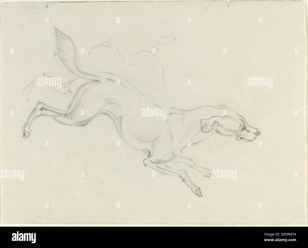 Un disegno di James Seymour intorno al 1743 intitolato “A Hound Jumping” è eseguito in grafite su carta tessuta che misura complessivamente circa 12,5 x 9,1 cm (4 15/16 x 3 9/16 in). L'opera è nella collezione della National Gallery of Art, Washington, D.C., numero di accesso 1995.52.160, ed è un esempio caratteristico del soggetto equestre e sportivo di Seymour. :ContentReference[oaicite:4]{index=4} Foto Stock