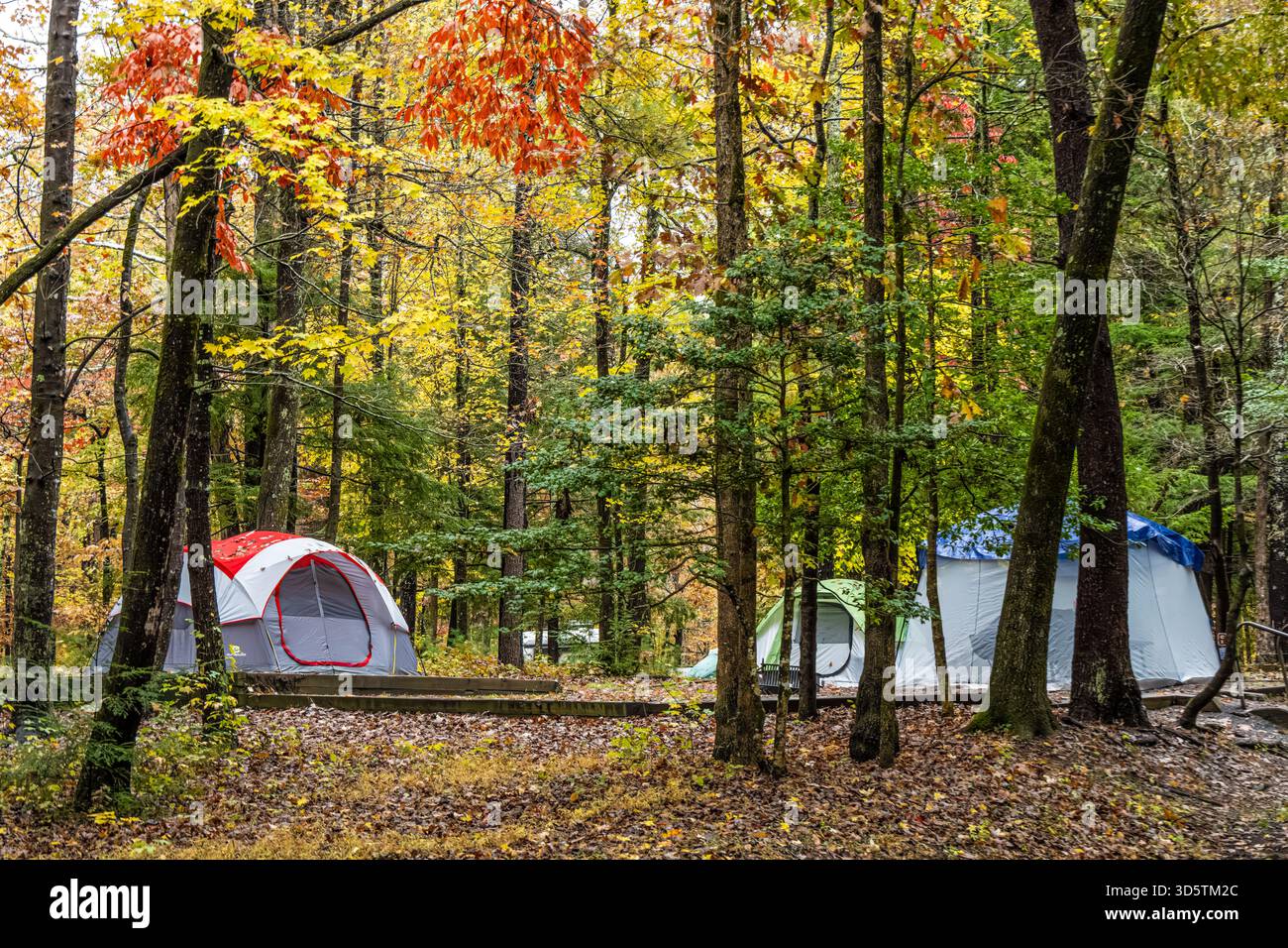 Campeggio in tenda a Cades Cove nel Great Smoky Mountains National Park vicino a Townsend, Tennessee. (USA) Foto Stock
