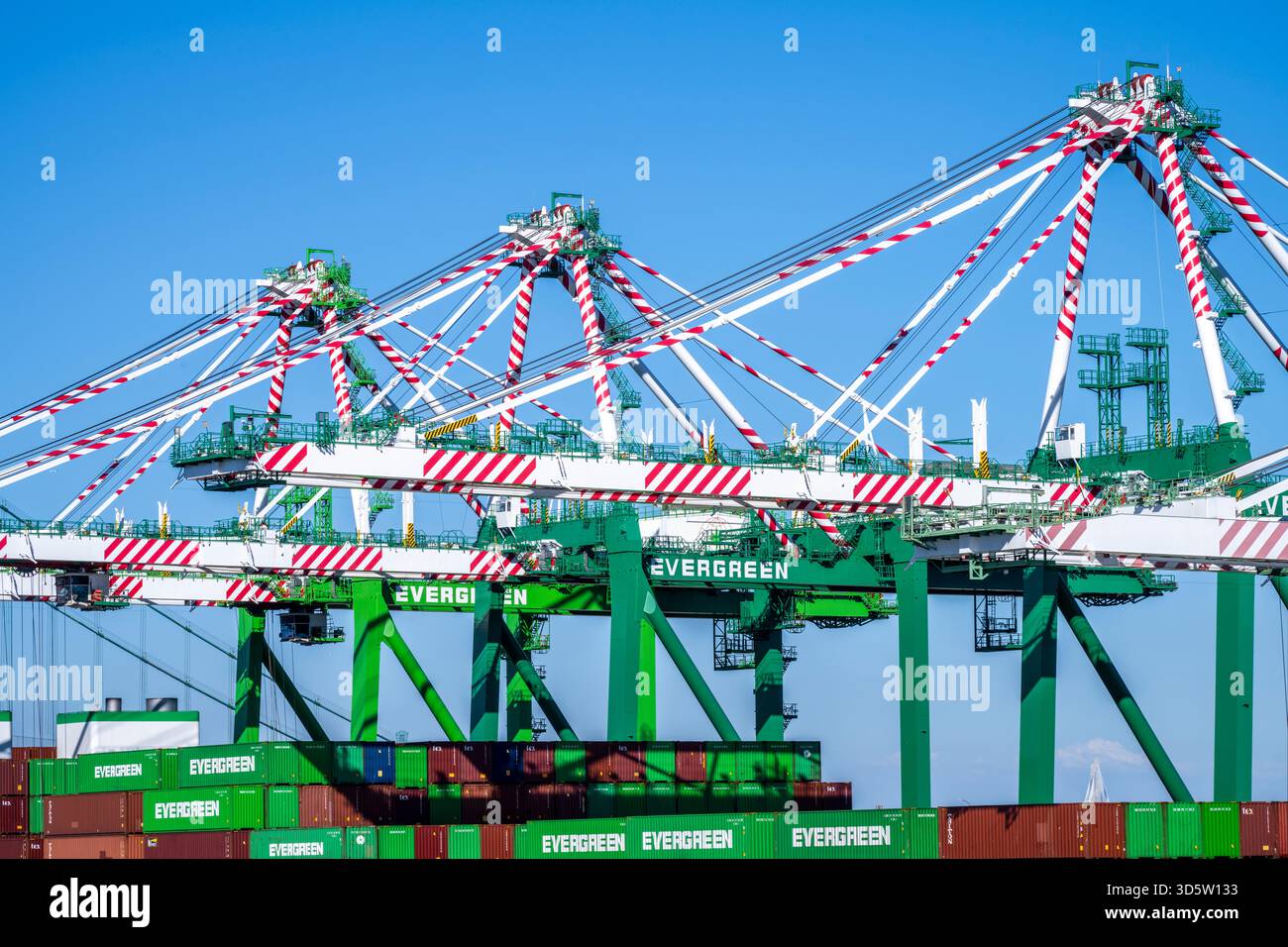 Vista ravvicinata delle gru container per il trasporto di carichi pesanti industriali, porto di Los Angeles, Stati Uniti. Foto Stock