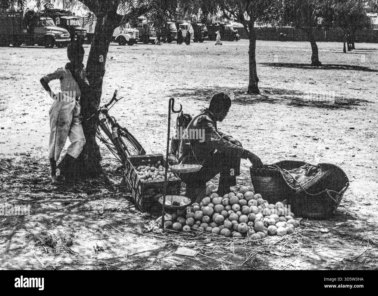 Vendere arance a Marrakech, Marocco Foto Stock