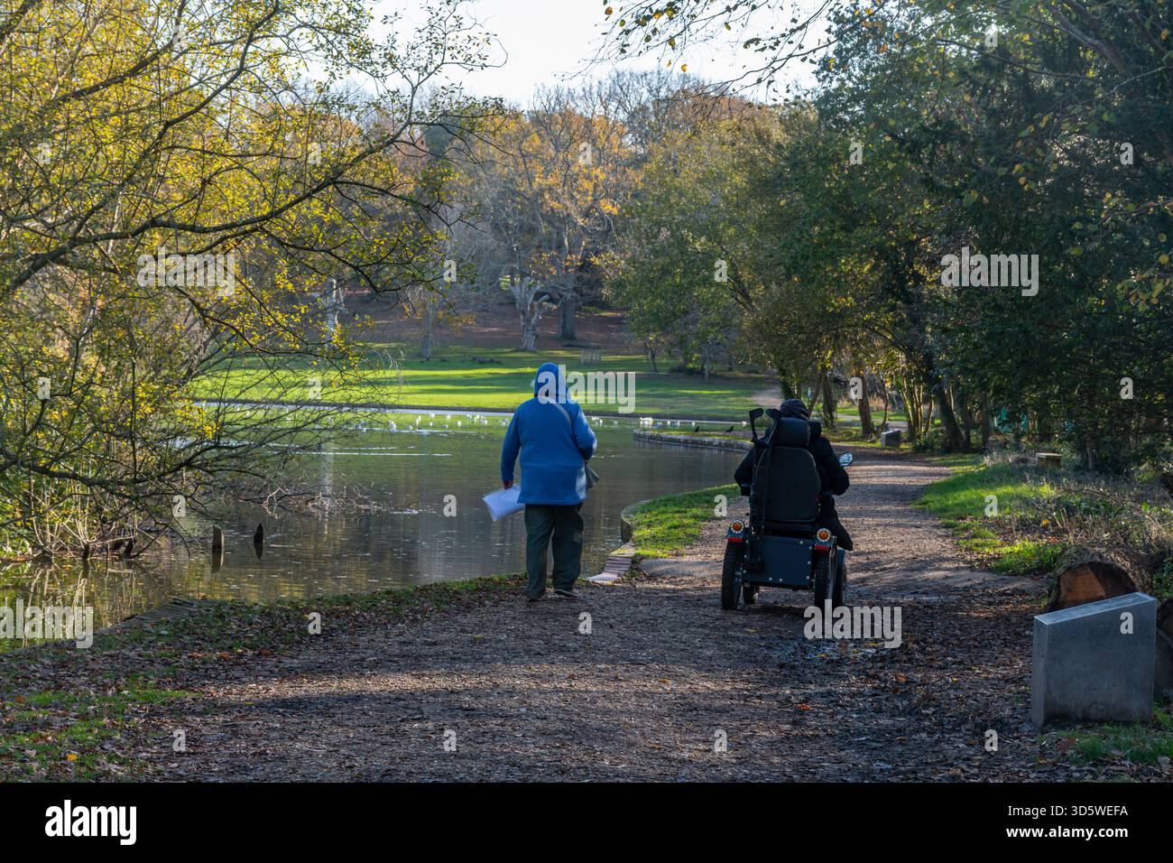 Coppia che cammina intorno al lago allo Staunton Country Park, l'uomo sta guidando uno scooter mobile, Hampshire, Inghilterra, Regno Unito Foto Stock