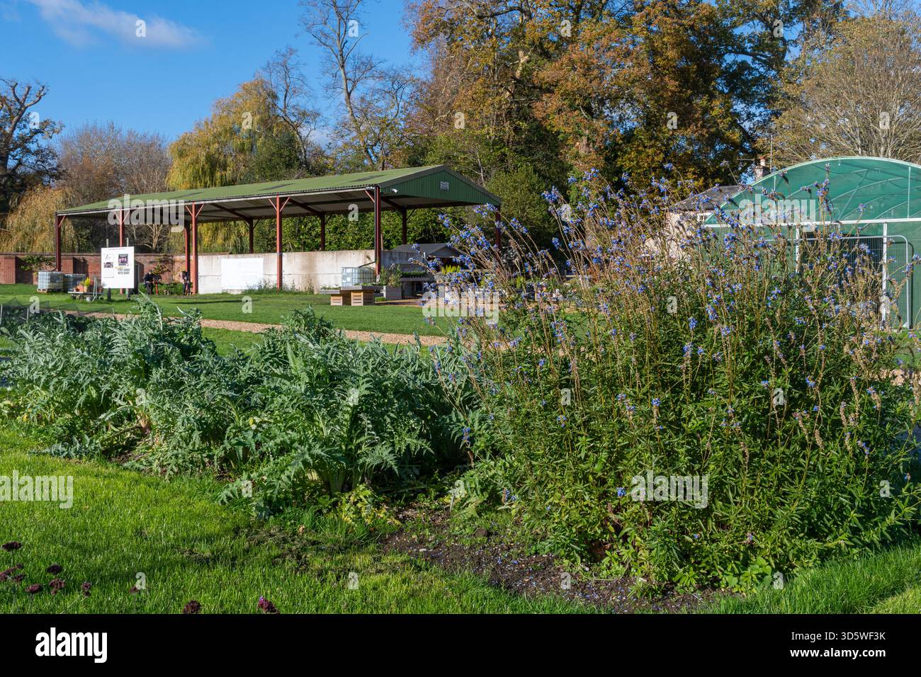 Lo Storey Garden di Staunton Country Park, sede del gruppo "diritto al lavoro", sosteneva il giardinaggio per le persone con disabilità di apprendimento, Hampshire, Regno Unito Foto Stock