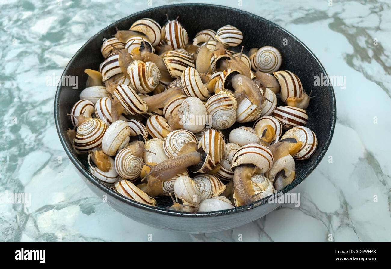 Ciotola di chiodi vivi con gusci a righe su superficie in marmo Foto Stock