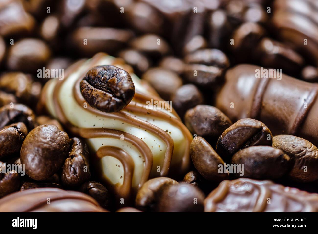 Le praline di cioccolato con motivi decorativi si trovano tra i chicchi di caffè, evidenziando la consistenza e l'abbinamento dei sapori. Foto Stock