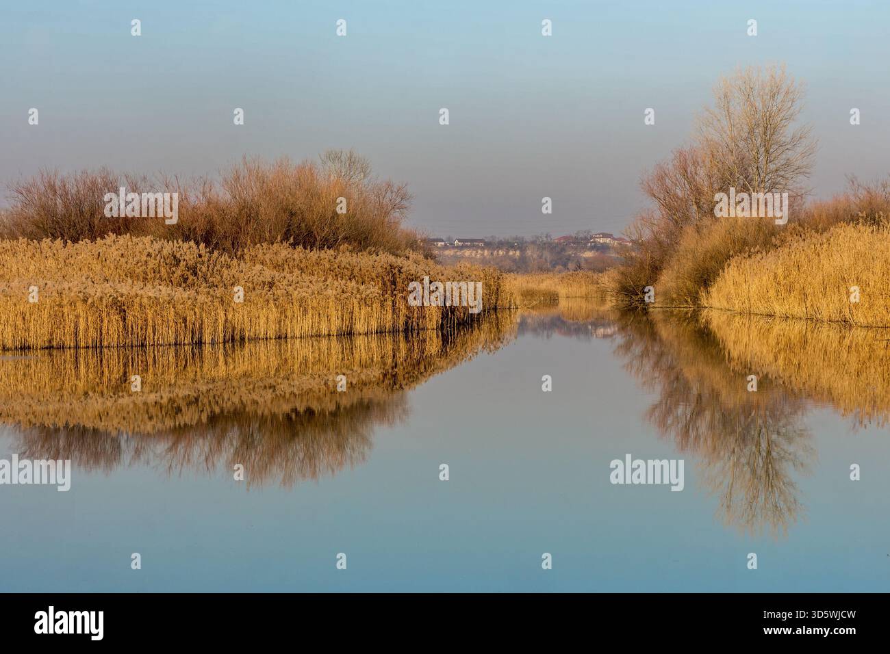 Le canne dorate e gli alberi senza foglie si riflettono in un calmo corpo d'acqua vicino a un villaggio lontano. Foto Stock
