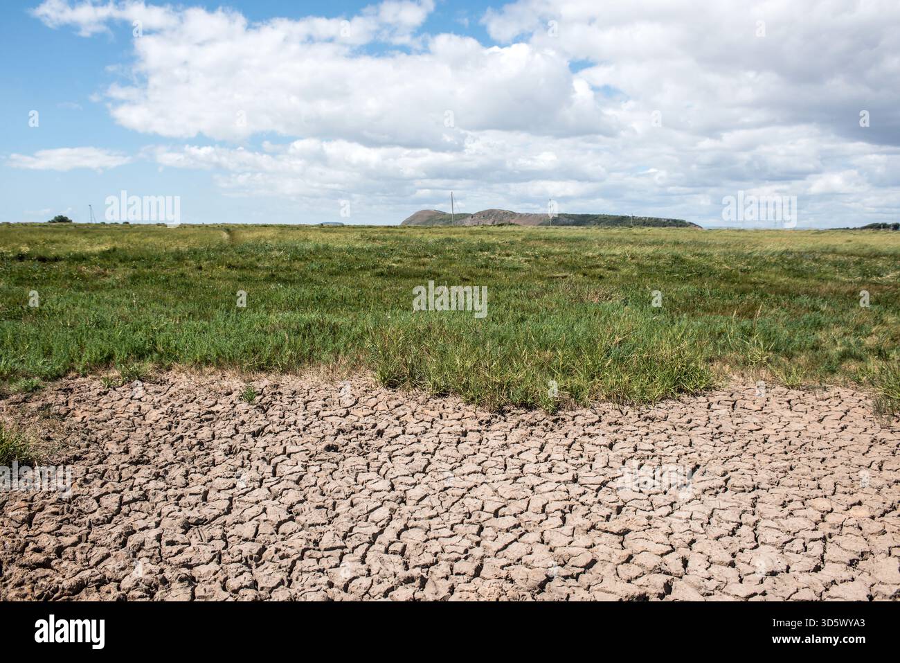 Fango essiccato nelle zone umide intertidali del fiume Severn, Canale di Bristol Foto Stock