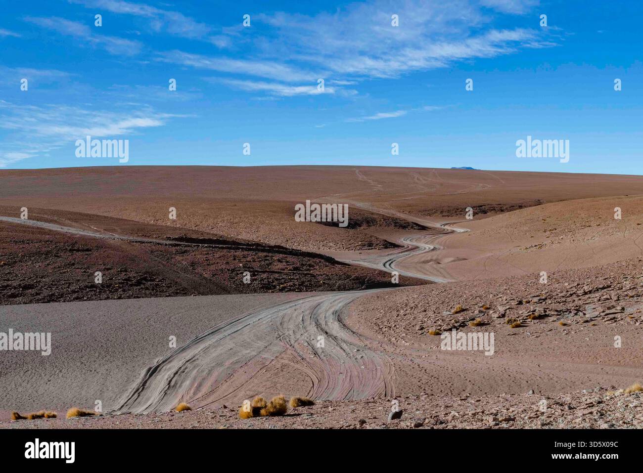 Remoto paesaggio desertico ad alta quota con tortuosi sentieri sterrati sull'Altiplano boliviano. Foto Stock