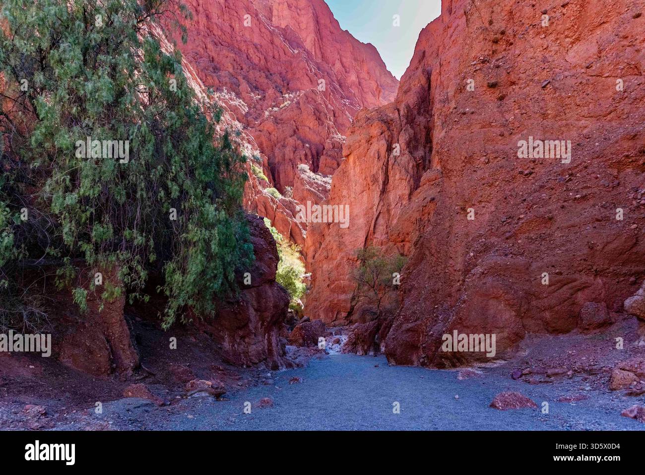 Aspro deserto di rocce rosse in Bolivia Foto Stock