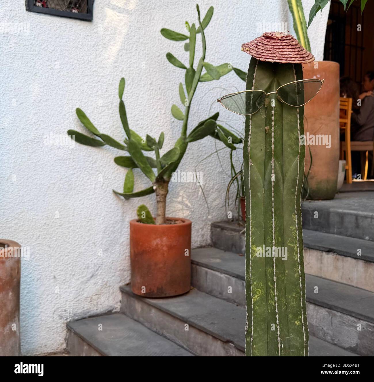 Scultura decorativa di cactus con cappello e bicchieri su gradini all'aperto accanto a cactus in vaso, creando una scena giocosa e artistica Foto Stock