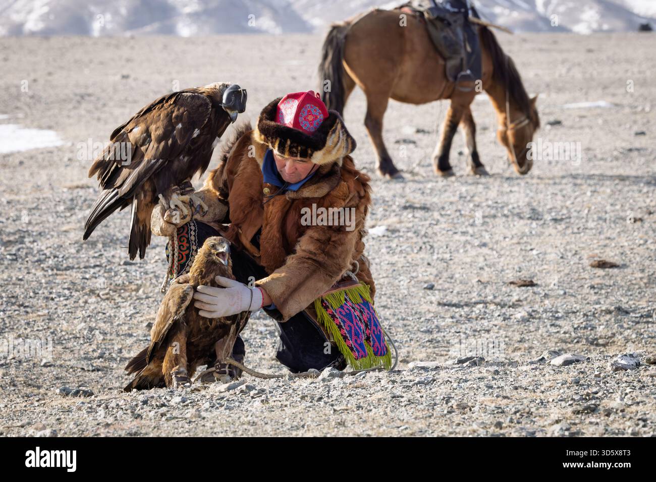 Cacciatore di aquile kazako sulla steppa mongola con aquila dorata che mostra l'antica arte della falconeria ancora praticata nei monti Altai. Foto Stock