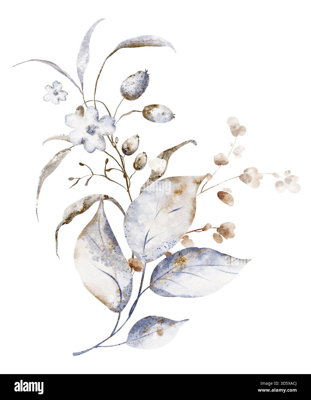 Bouquet botanico di acquerelli con piante secche e fiori selvatici. Illustrazione floreale per cancelleria, invito, biglietto d'auguri e design stampabile. Foto Stock