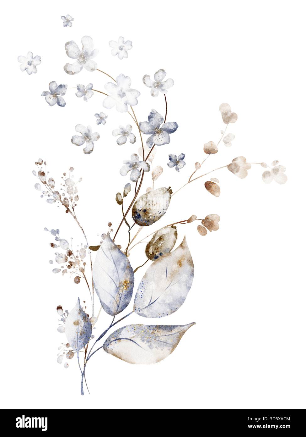 Bouquet botanico di acquerelli con piante secche e fiori selvatici. Illustrazione floreale per cancelleria, invito, biglietto d'auguri e design stampabile. Foto Stock