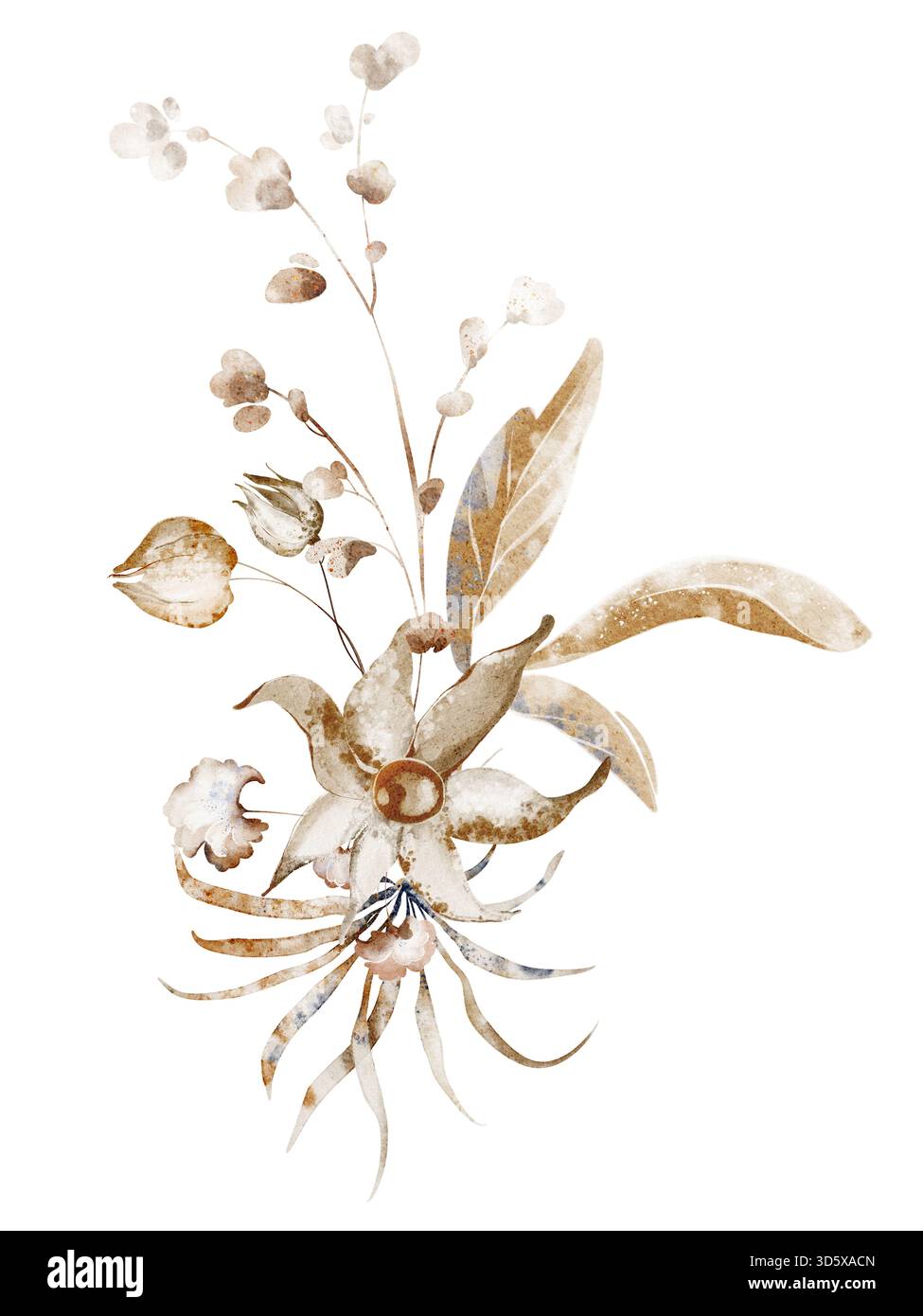 Bouquet botanico di acquerelli con piante secche e fiori selvatici. Illustrazione floreale per cancelleria, invito, biglietto d'auguri e design stampabile. Foto Stock