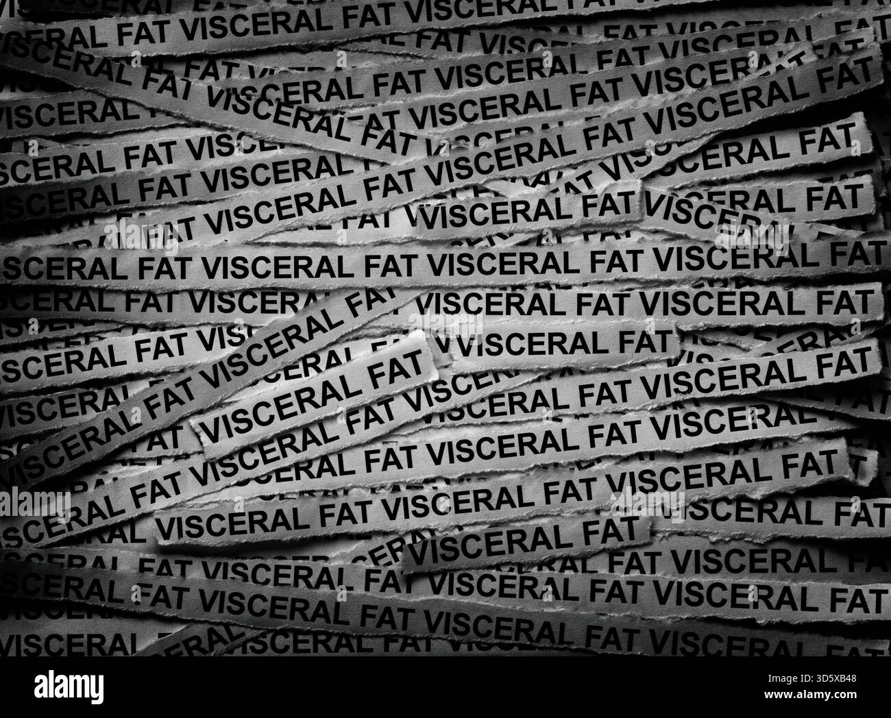Strisce di giornale con le parole visceral Fat scritte sopra. Bianco e nero. Primo piano. Foto Stock