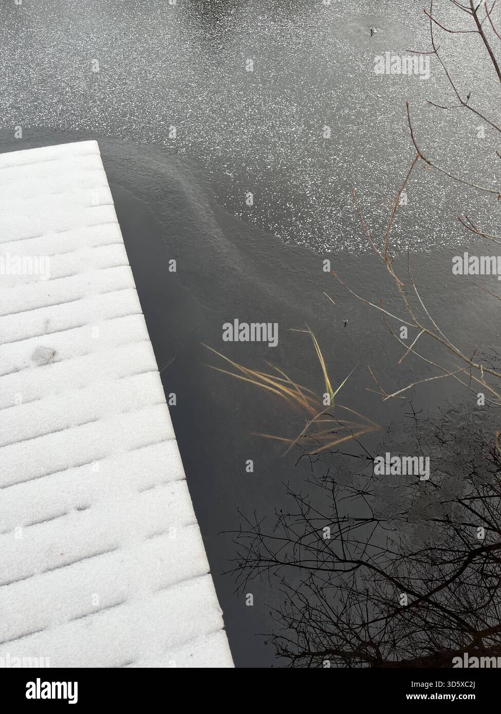 Il primo gelo dell'inverno Foto Stock