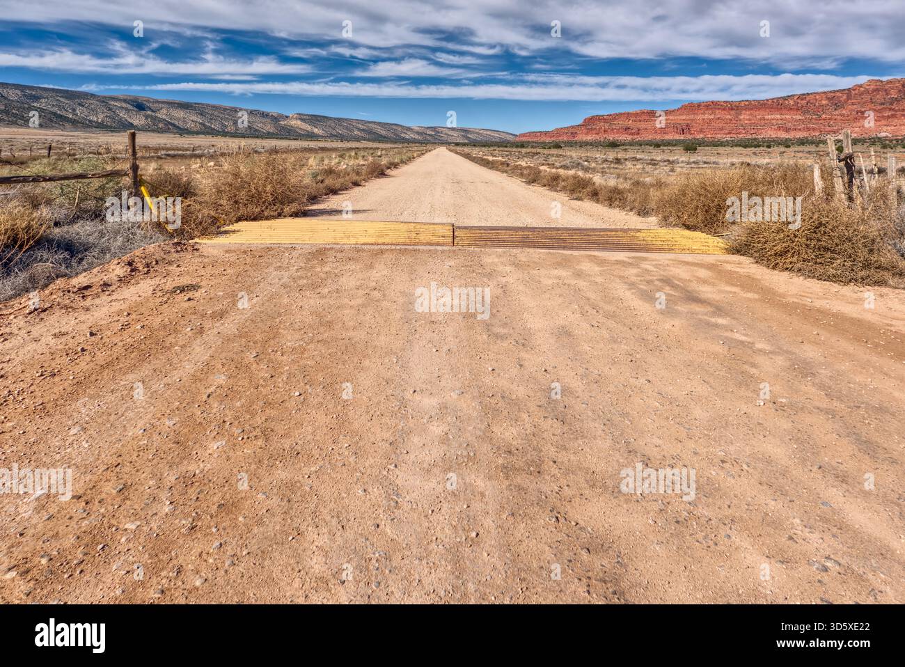 House Rock Valley Road in Arizona, rivolta a nord con le Vermilion Cliffs sulla destra e il Kaibab Plateau sulla sinistra. Foto Stock