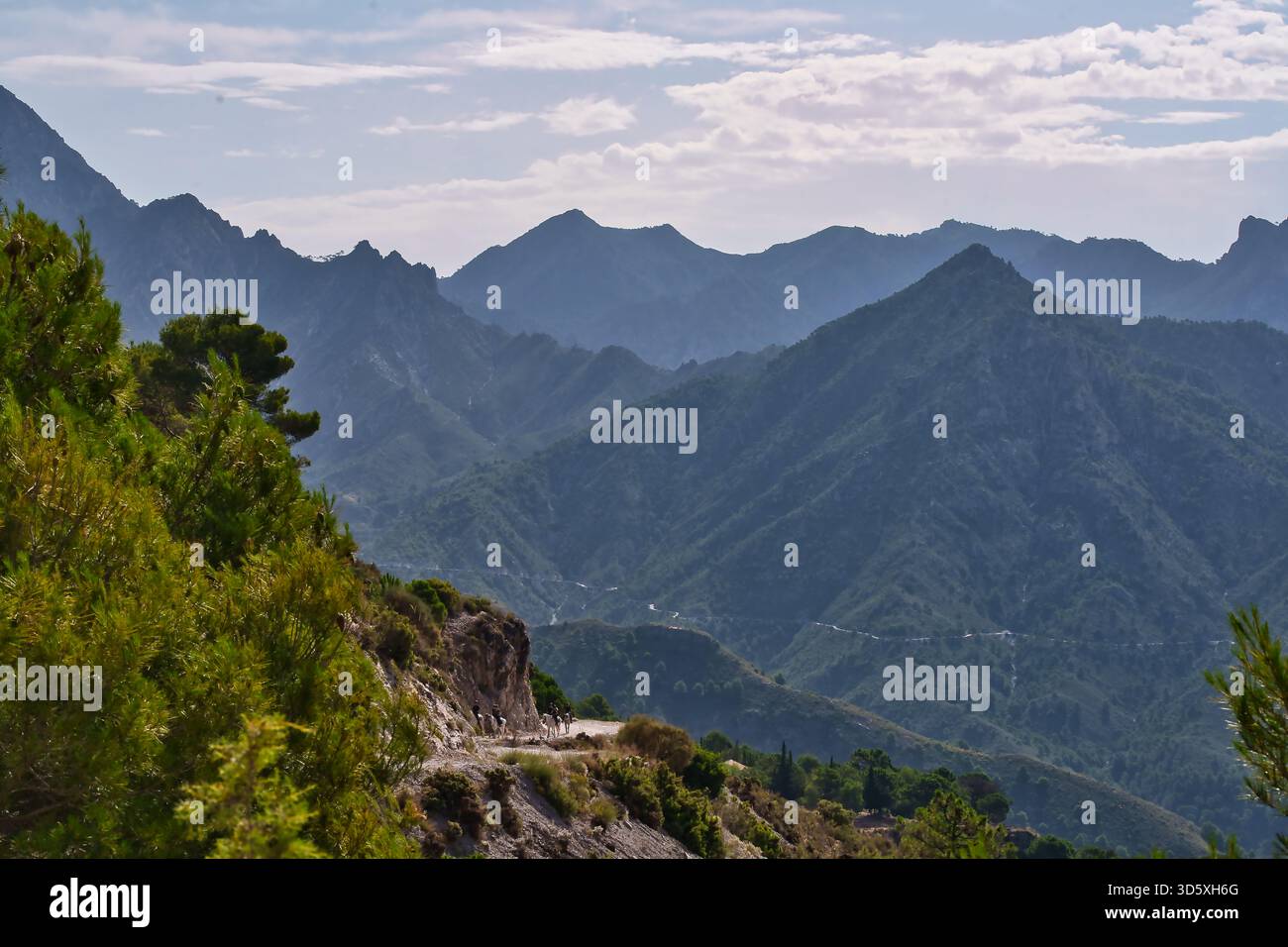 Una vista delle montagne spagnole con una pista di montagna che attraversa con cavalli in lontananza Foto Stock
