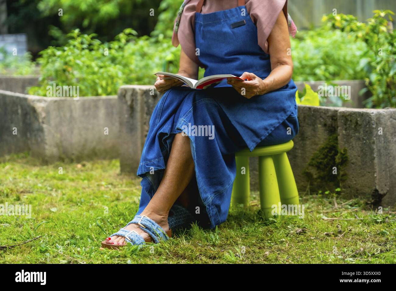 Donna anziana in grembiule seduta su un piccolo sgabello nel suo giardino di casa soleggiato, leggendo con calma un libro e godendosi un momento tranquillo e rilassante all'aperto Foto Stock