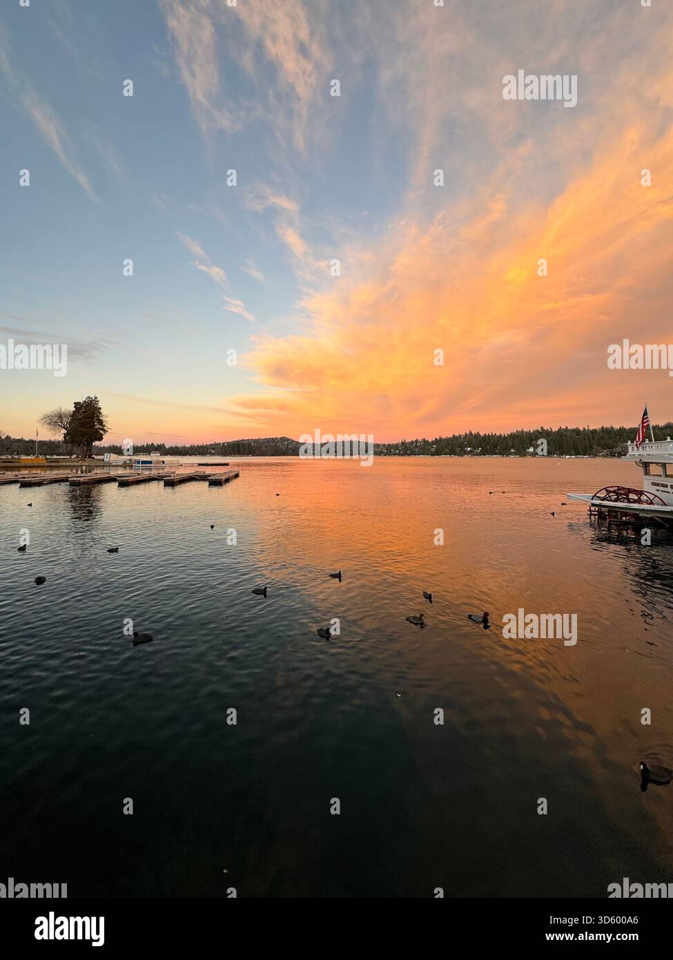 Tramonto dorato sul tranquillo lago con riflessi e anatre sagomate Foto Stock