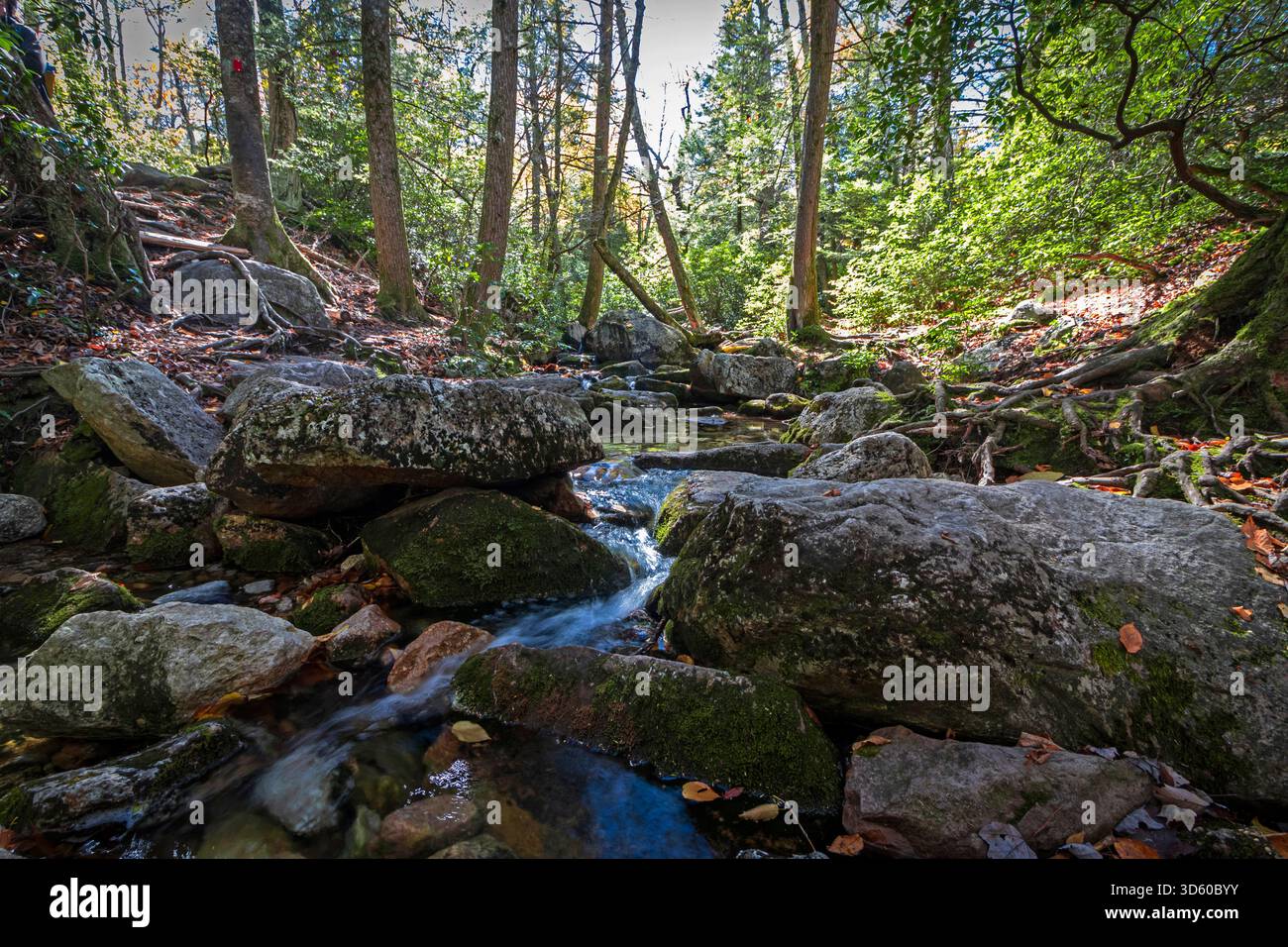 A metà strada sul sentiero del monte Millbrook nel Minnewaska State Park, in un pomeriggio autunnale, le cascate Coxing Kill lungo grandi rocce Foto Stock