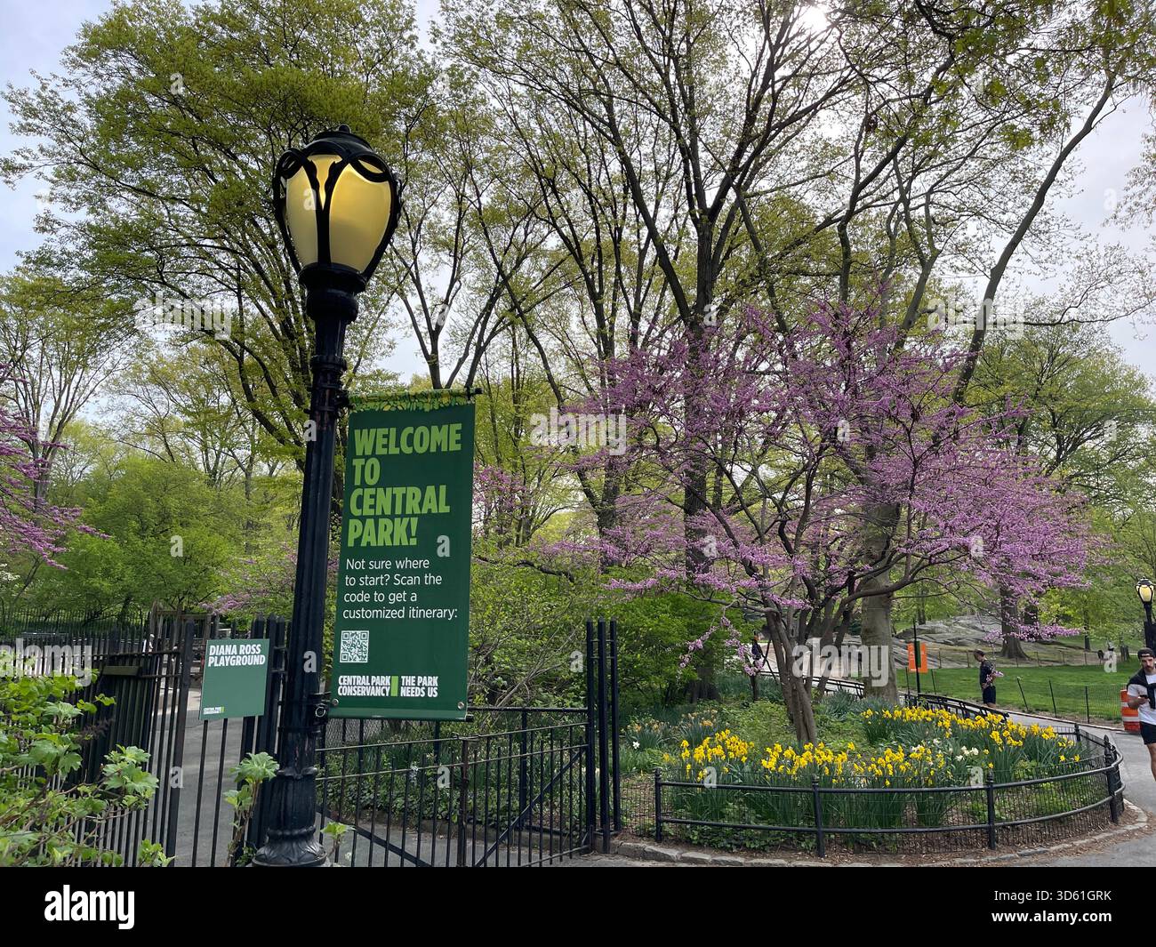 L'inizio della primavera dipinge Central Park in tenui sfumature rosa. - Immagine stock catturata con smartphone
