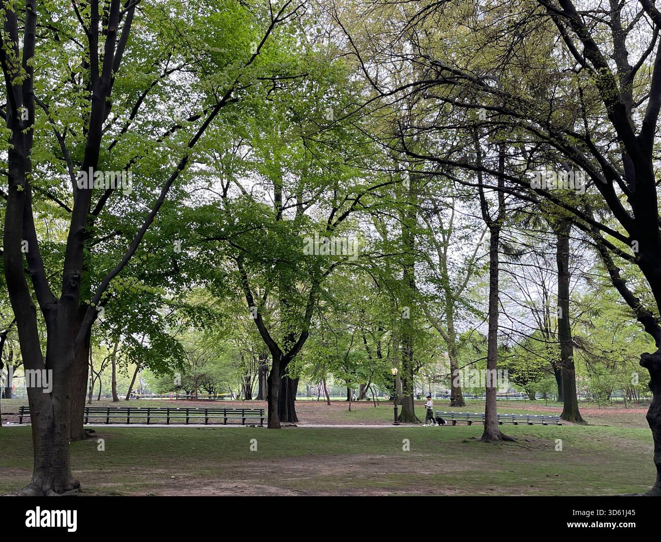 Momenti tranquilli lungo un tranquillo sentiero nel cuore di Central Park. Foto Stock
