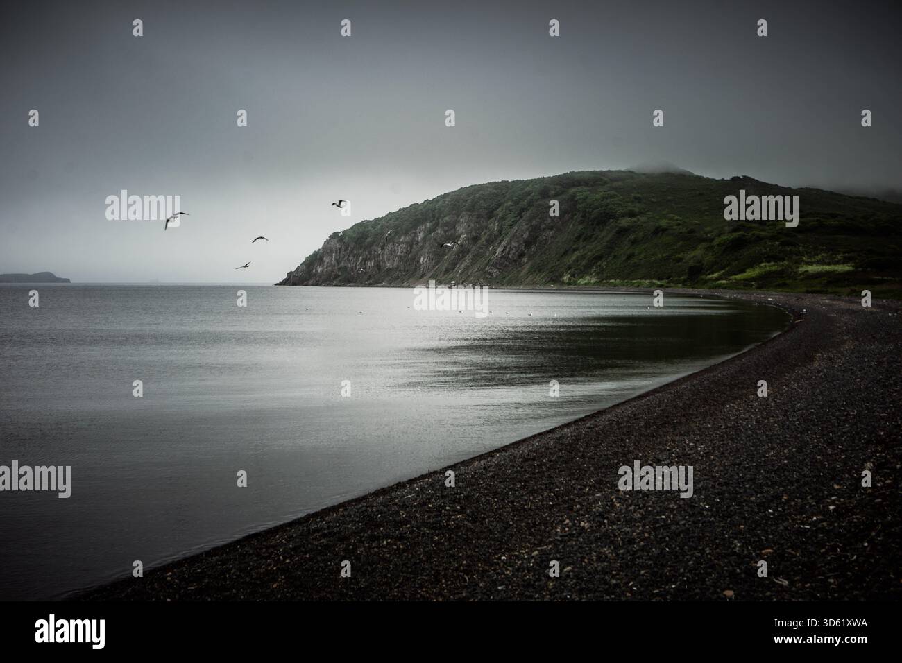 Moody noir view della spiaggia di ciottoli dell'Isola di Ricord nel Mare del Giappone, con uccelli sull'acqua calmo e promontorio scuro in nebbia. Foto Stock