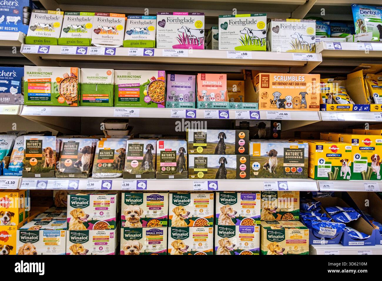 Londra Regno Unito, 16 novembre 2025, Selezione del supermercato stoccato cibo domestico per cani e cuccioli Foto Stock