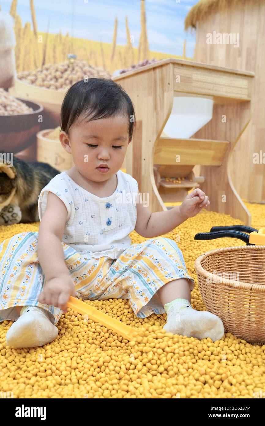Un bambino gioca con i giocattoli in un'area gioco piena di palline gialle, con uno sfondo a tema fattoria. Foto Stock