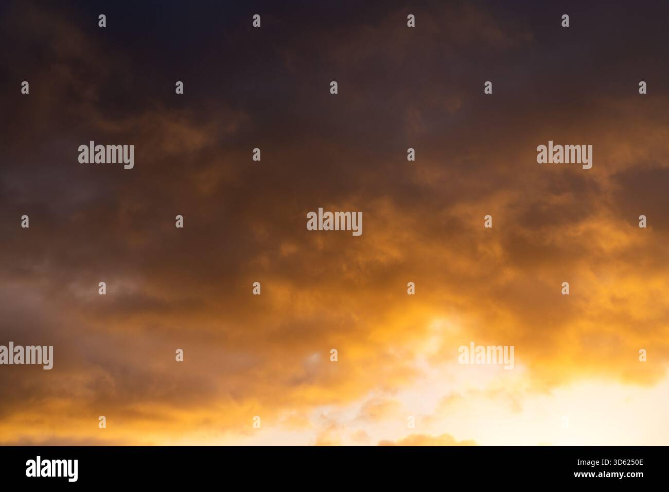La luce dorata proietta un caldo bagliore sulle spettacolari nuvole di cumulus in alto nel cielo durante una mattinata vivace Foto Stock