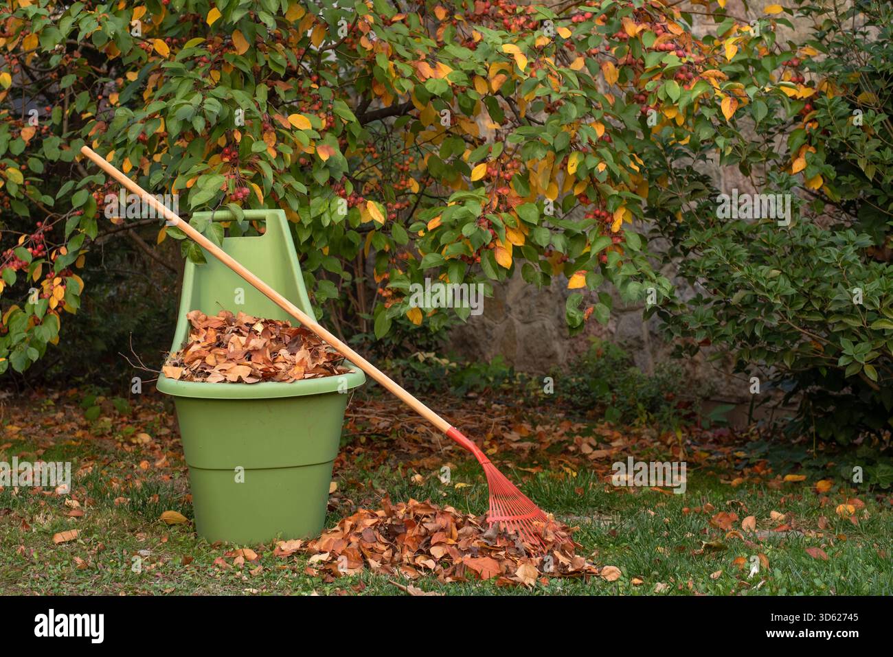 Il giardino autunnale funziona, rastrellare le foglie. Foto Stock