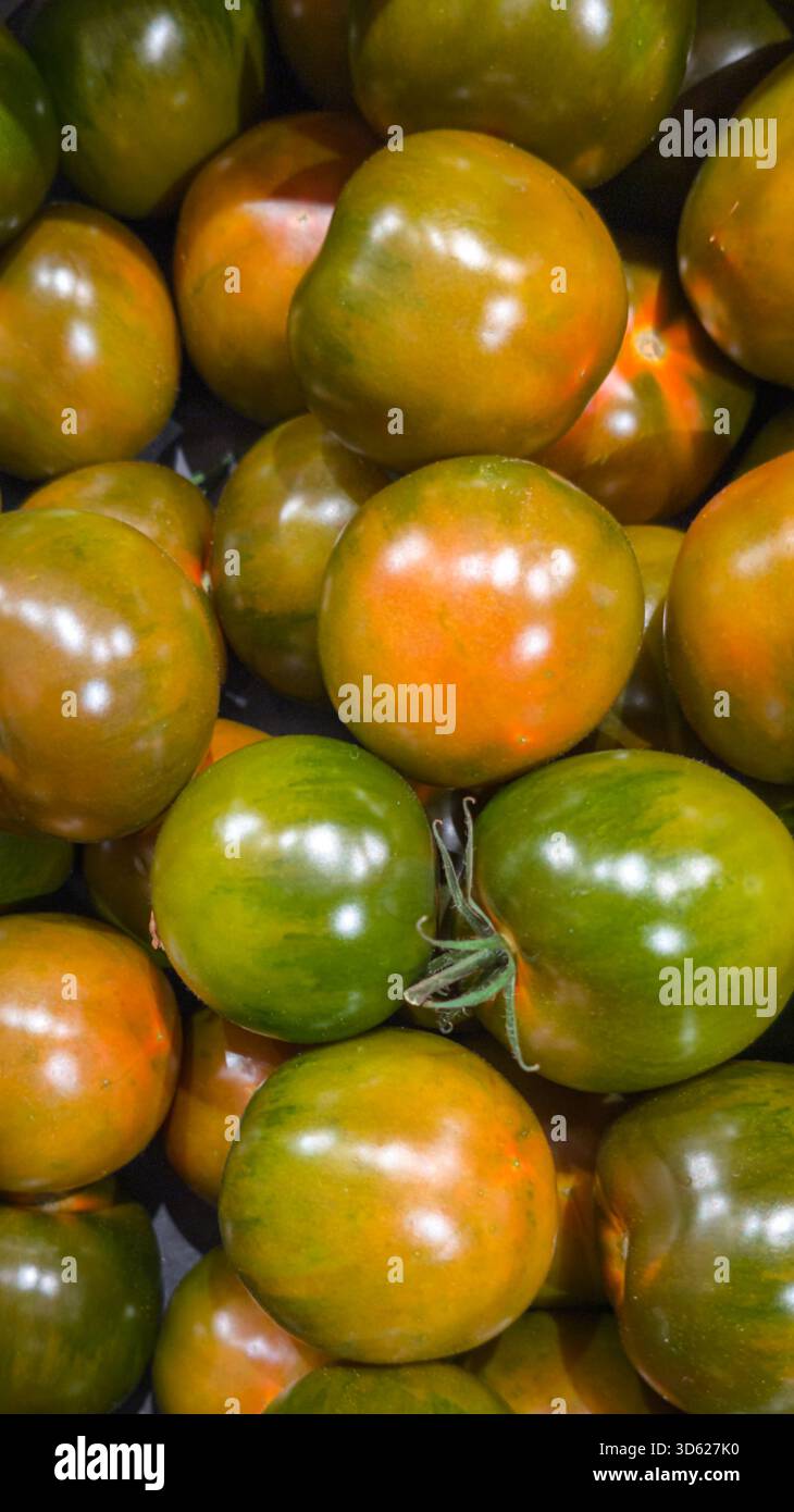 Primo piano di coloratissimi pomodori cimellati verde-arancio in un'esposizione di mercato fresco. Foto Stock