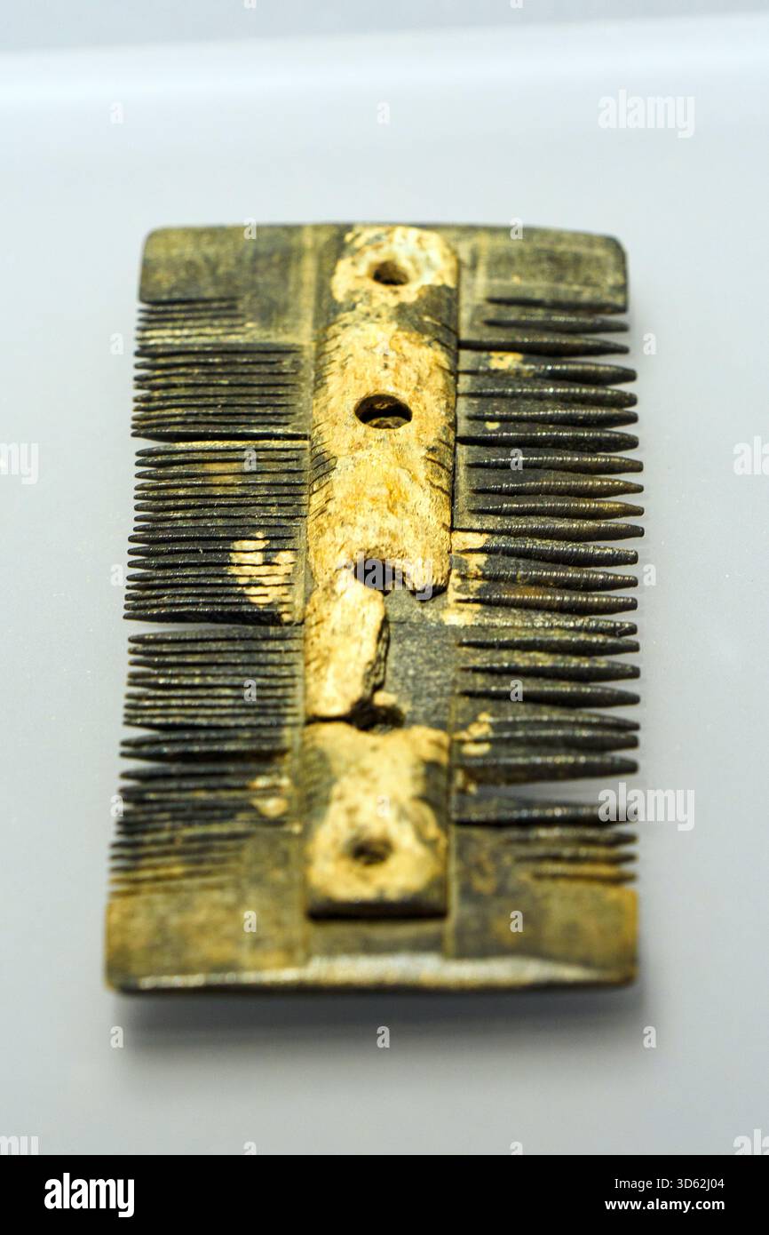 Pettine d'osso dal porto di Classe - vi - VII secolo d.C. - Museo della città e del territorio - Ravenna, Italia Foto Stock