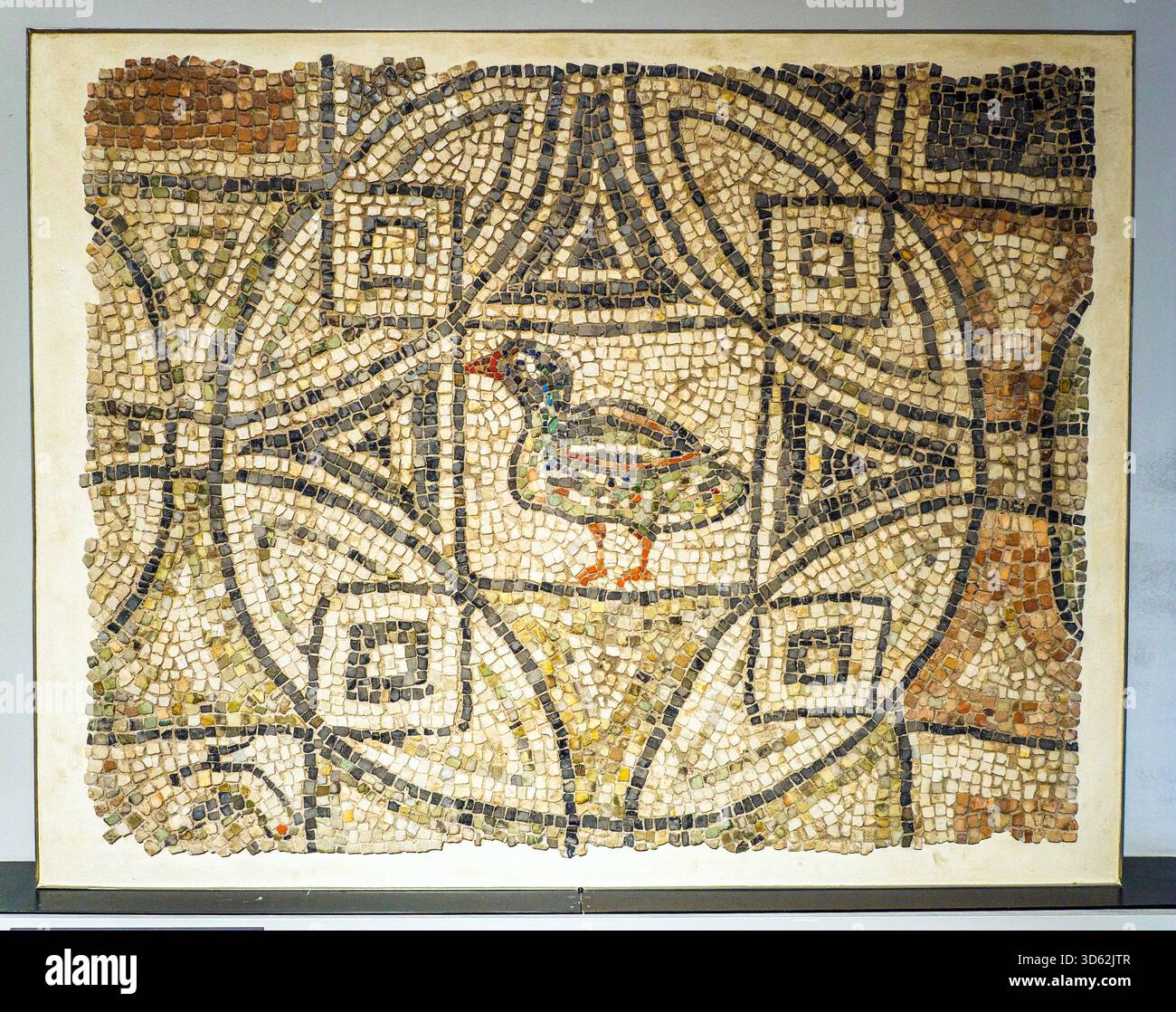 Frammento di un mosaico (con anatra) dalla pavimentazione della Basilica di san Severo, Classe - vi secolo d.C. - Museo della città e del territorio - Ravenna, Italia Foto Stock