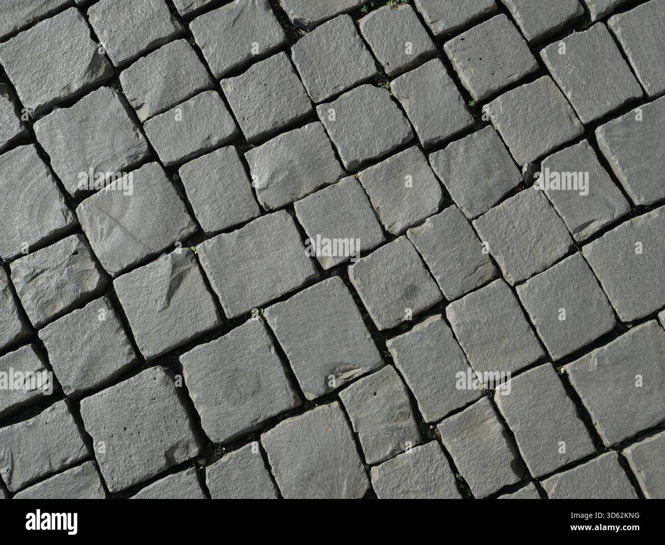 Pavimentazione a mosaico grigio in pietra naturale di basalto o granito, motivo diagonale e leggera vegetazione articolare. Copyspace. Foto Stock