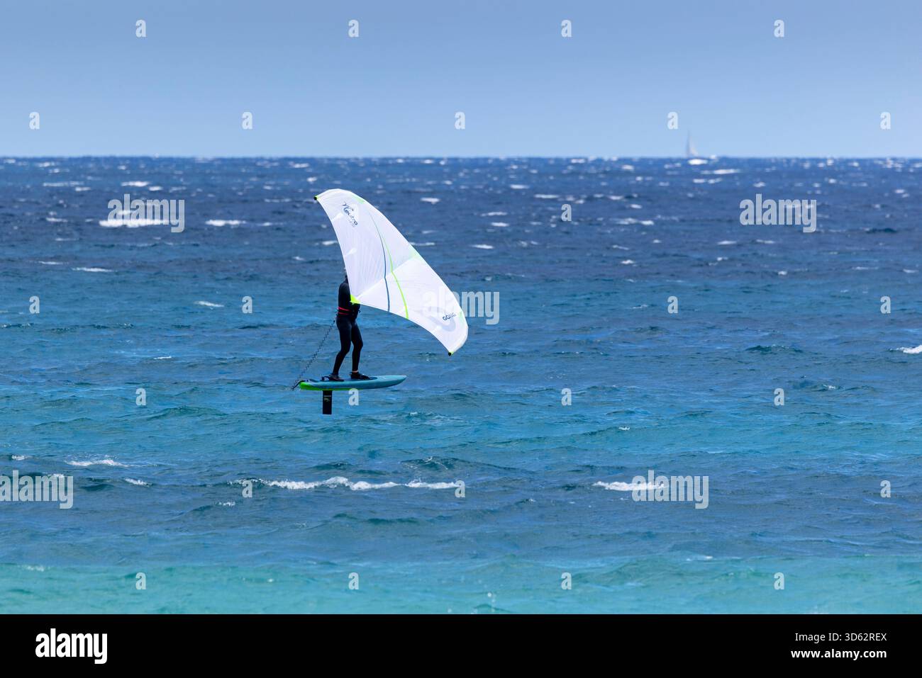 Ala che sboccia sul mare, Francia, Corsica, Plage de Canetto, Bonifacio Foto Stock