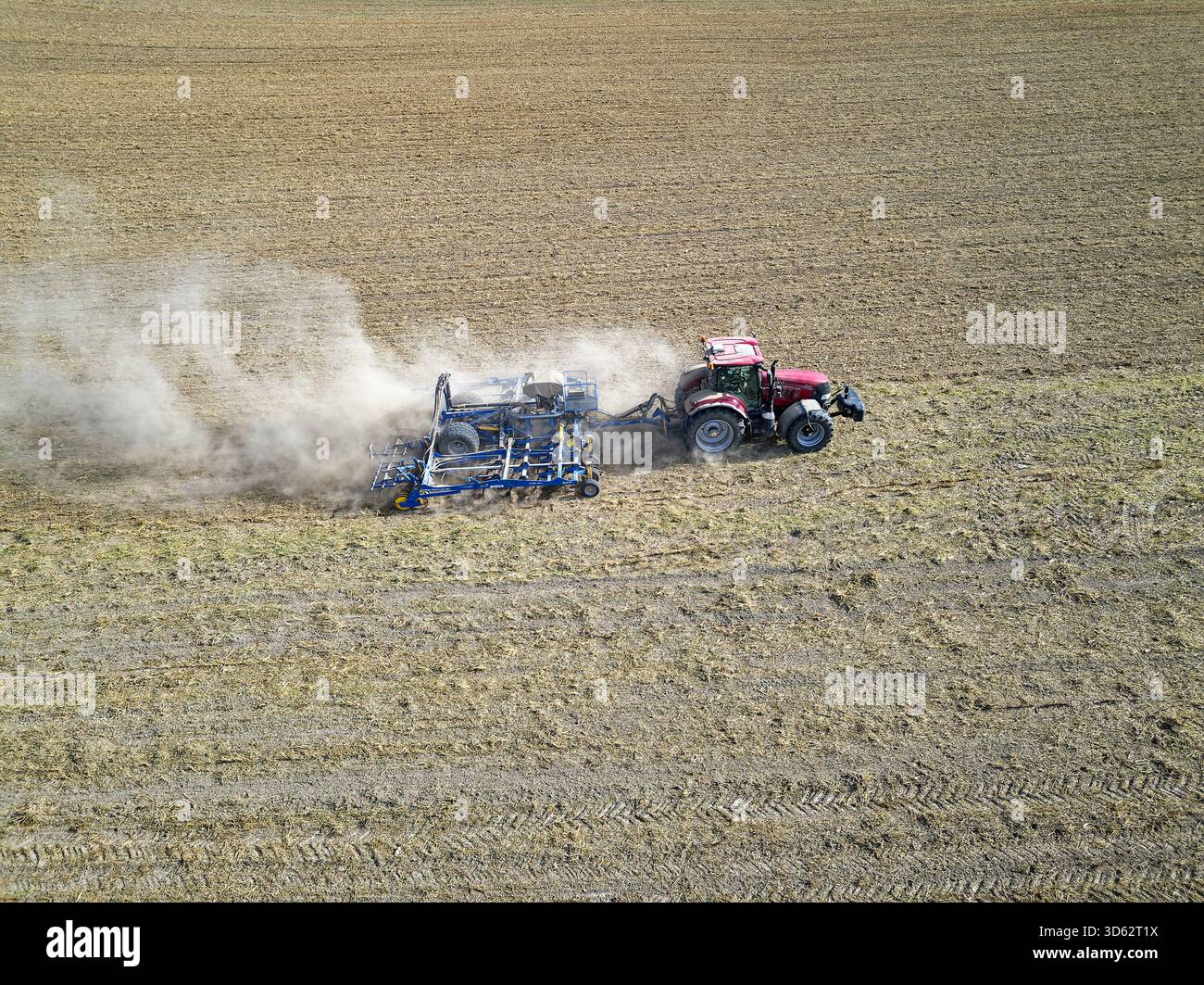 Agricoltore che semina colture invernali con trattore, vista aerea, Germania, Renania settentrionale-Vestfalia Foto Stock
