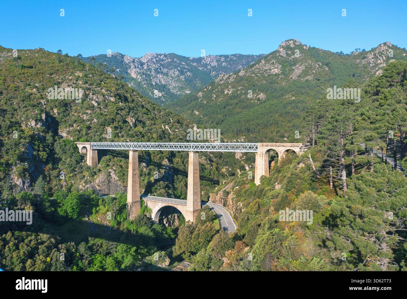Ponte ferroviario sul fiume Vecchio, Francia, Corsica, Vivario, Vivario Foto Stock
