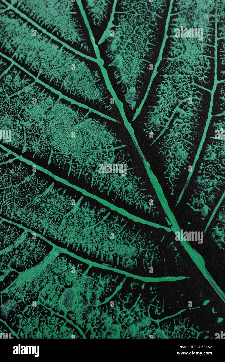 Stampa di foglie botaniche. Dettaglio della stampa botanica di foglie d'acero con vernice acrilica e processo di stampa in rilievo. Foto Stock