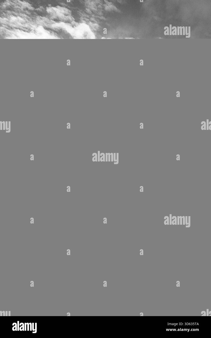 Österreich, Steiermark, Schladming-Dachstein, Schladming, Rohrmoos, 4-Berge-Skischaukel, Reiteralm, Hochwurzen, Planai, Hauser Kaibling, inverno, Schnee, Bergpanorama, Alpen, Talnebel, verschneite Wälder, Planai-West, Seilbahn, Talbach, schwarz-Weiß fotografie, monochrom - Archiv *** Austria, Stiria, Schladming Dachstein, Schladming, Rohrmoos, 4 Berge Skischaukel, Reiteralm, Hochwurzen, Planai, Hauser Kaibling, inverno, neve, panorama montano, Alpi, nebbia vallata, foreste innevate, Planai West, funivia, Talbach, fotografia in bianco e nero, archivio monocromatico Copyright: xStefanxTrochax Foto Stock