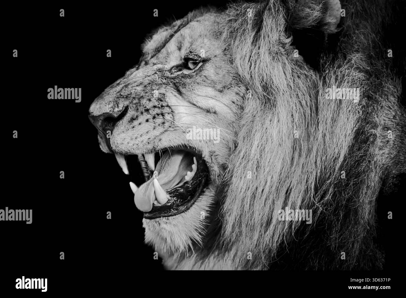 Questo rappresenta parte di una serie di immagini dalla terra di Kwa Zulu in Sud Africa Foto Stock